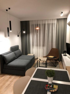 Отель Apartament Comfort Zone  Крыница Здруй